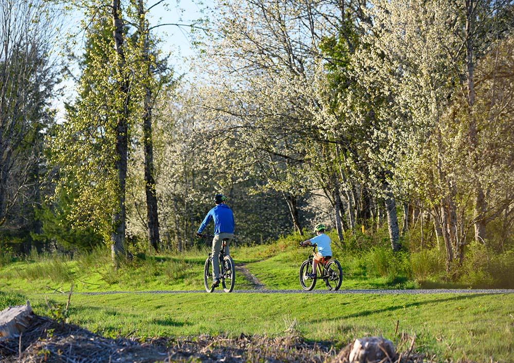Twin Trails
